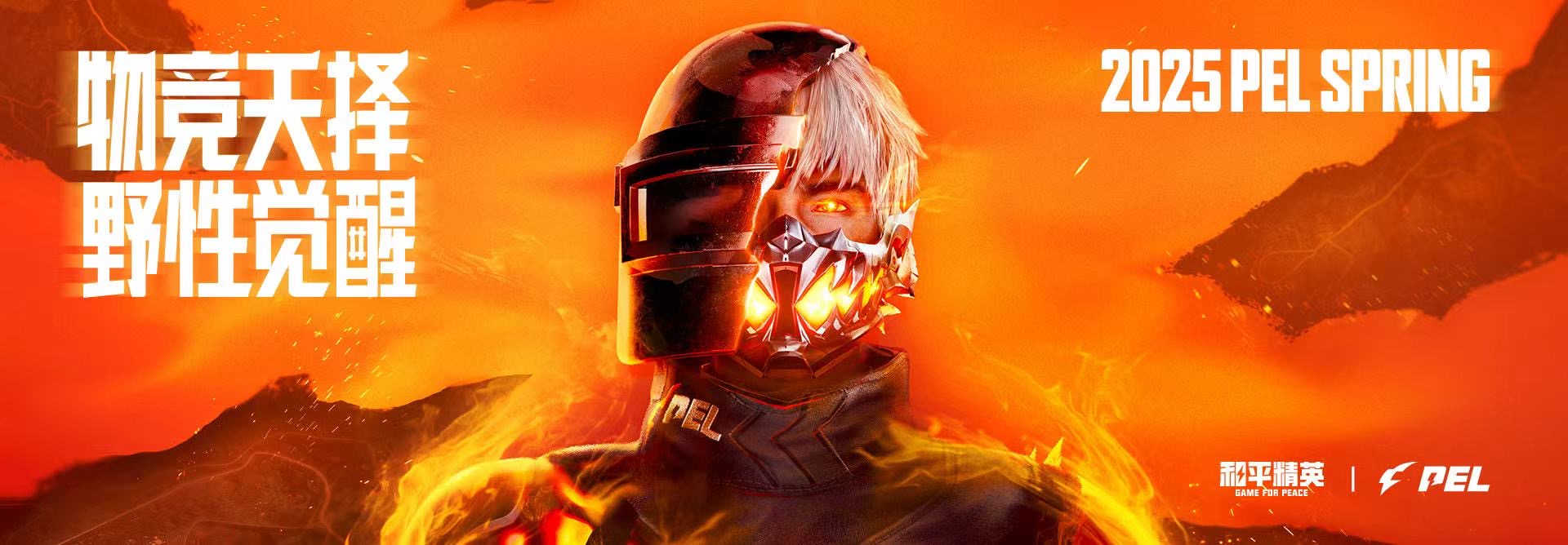 揭秘和平精英辅助工具的真相：你真的需要它吗